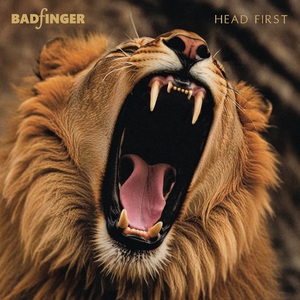 Head First (50Th Anniversary Special Edition)