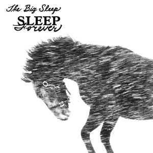 Sleep Forever
