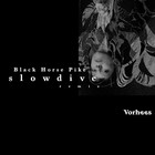 Black Horse Pike (Slowdive Remix) (CDS)
