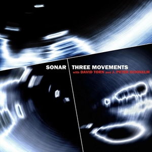 Three Movements (With David Torn And J. Peter Schwalm)