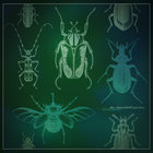 Metamorphosis (Collection 2023)