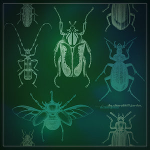 Metamorphosis (Collection 2023)
