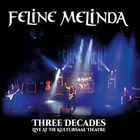 Three Decades Live At The Kultursaal Theatre