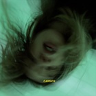 K.Flay - Carsick (CDS)