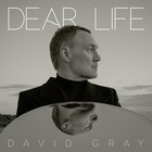 David Gray - Dear Life David Gray