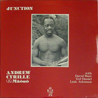 Junction (Vinyl)