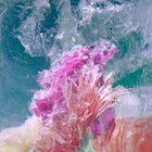 Plexiglass (EP)