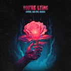 You're Lying (Feat. Akacia) (CDS)