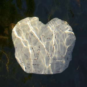 L'eau Et Les Rêves