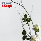 Flook - Sanju