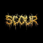 Scour - Gold