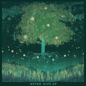 Never Give Up (CDS)
