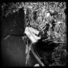 Streams Of Consciousness 152401