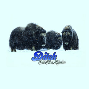 Coldfoot, Alaska (EP)
