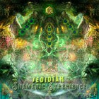 Shamanic Experience Vol. 2