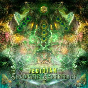 Shamanic Experience Vol. 2