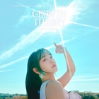 Growth Theory (Final Edition)