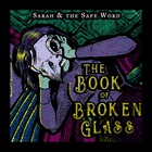 The Book Of Broken Glass