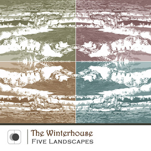 Five Landscapes