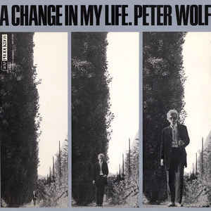 A Change In My Life (Vinyl)
