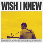 Wish I Knew (CDS)