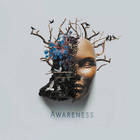 Awareness