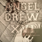 XVI