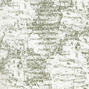 Winter Pilgrim Arriving