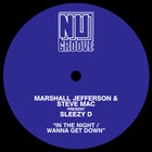 In The Night / Wanna Get Down (With Steve Mac & Sleezy D) (EP)
