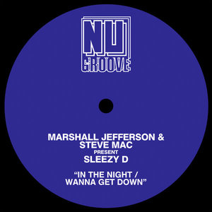 In The Night / Wanna Get Down (With Steve Mac & Sleezy D) (EP)