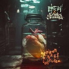 Broken Heart Collector (Feat. Arankai) (CDS)