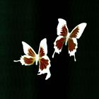 Korine - Tear Remixes