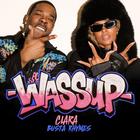 Wassup (Feat. Busta Rhymes) (CDS)