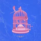 Escape Limited Rose/Blue Split