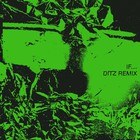 If.... (Ditz Remix) (CDS)