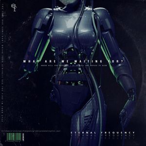 What Are We Waiting For (CDS)