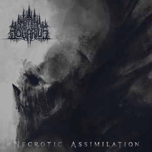 Necrotic Assimilation (EP)