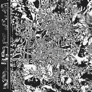 The Bedroom Tapes