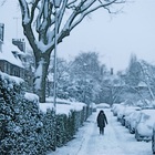Thief Of Snow (Feat. Theo Travis)