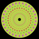 Xor