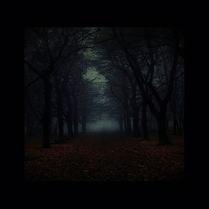 Autumn II