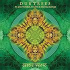Celtic Vedic