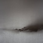 The Illusion Of Beginnings And Endings