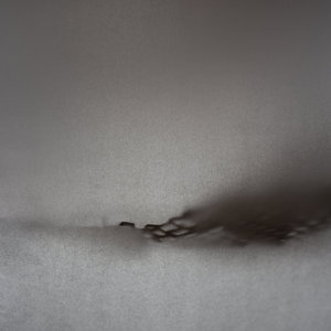 The Illusion Of Beginnings And Endings