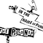 In The Name Of Punk
