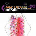 Keep The Fire Burnin' (Remixes) (MCD)