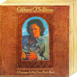 A Stranger In My Own Back Yard (Vinyl)