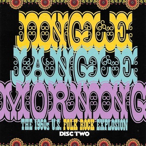 Jingle Jangle Morning: The 1960S U.S. Folk-Rock Explosion CD2