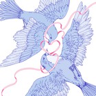 Bluebird (CDS)