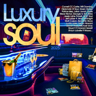 VA - Luxury Soul 2025 CD1
